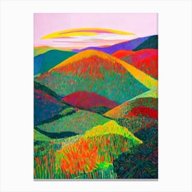 Salonga National Park The Democratic Republic Of The Congo Abstract Colourful Canvas Print