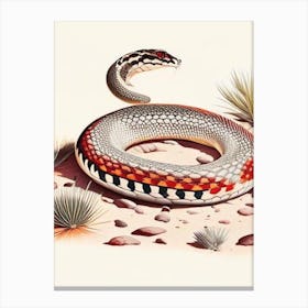 Desert Kingsnake Snake 1 Vintage Canvas Print