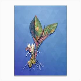 Vintage Koemferia Longa Botanical Art on Blue Perennial Canvas Print