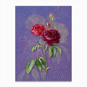 Vintage Purple Roses Botanical Illustration on Veri Peri n.0331 Canvas Print