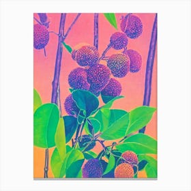 Lychee 1 Risograph Retro Poster Fruit Canvas Print