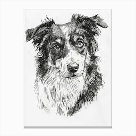 Australian Shepherd Dog Line Sketch 4 Canvas Print