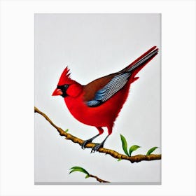 Northern Cardinal Watercolour Bird Canvas Print