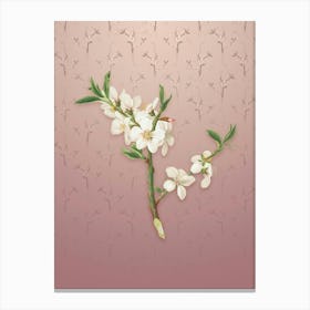 Vintage Almond Tree Flower Botanical on Dusty Pink Pattern n.2204 Canvas Print