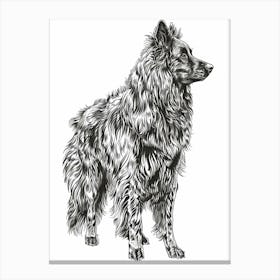 Belgian Tervuren Dog Line Sketch 2 Canvas Print