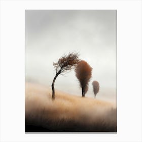 Three Trees In The Fog Canvas Print