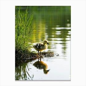 Baby Duckling White And Yellow With A Fluffy Head Perching Precariously On The Edge Of A Crystal 2 Canvas Print