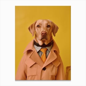A Dog Labrador Retriever 14 Canvas Print
