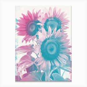 Sunflowers Canvas Print Canvas Print