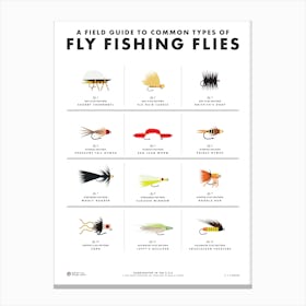 Fly Fishing Flies Field Guide Canvas Print