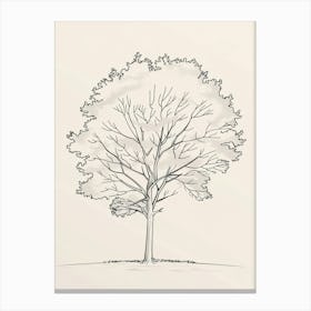 Sycamore Tree Minimalistic Drawing 3 Canvas Print