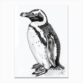 Emperor Penguin Staring Curiously 3 Canvas Print