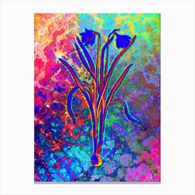 Narcissus Candidissimus Botanical in Acid Neon Pink Green and Blue n.0164 Canvas Print