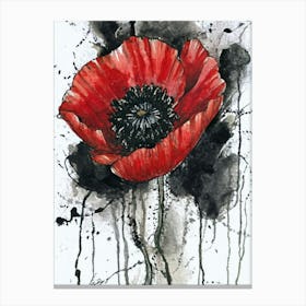 Red Poppy Canvas Print