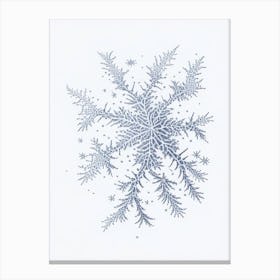 Fernlike Stellar Dendrites, Snowflakes, Pencil Illustration 1 Canvas Print