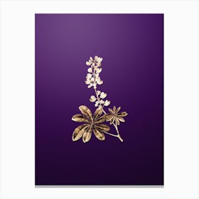 Gold Botanical Half Shrubby Lupine Flower on Royal Purple n.3489 Canvas Print