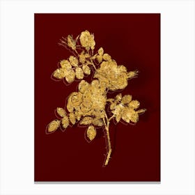 Vintage Austrian Briar Rose Botanical in Gold on Red n.0452 Canvas Print