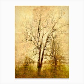 Separation Canvas Print