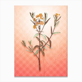 Bog Laurel Bloom Vintage Botanical in Peach Fuzz Tartan Plaid Pattern n.0098 Canvas Print
