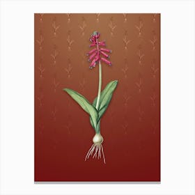 Vintage Lachenalia Pendula Botanical on Falu Red Pattern n.2574 Canvas Print