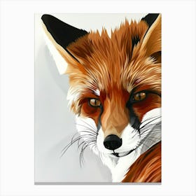 Fox Illustration 18 Canvas Print