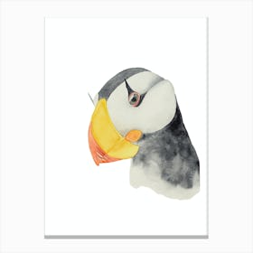 Bird puffin Canvas Print