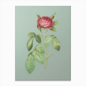 Vintage Red Gallic Rose Botanical Art on Mint Green n.0176 Canvas Print