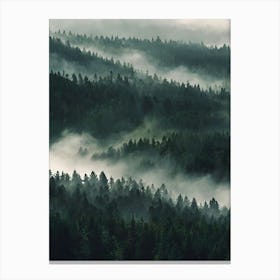 Misty Forest 1 Canvas Print