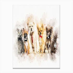 Dogs And Cats Canvas Print