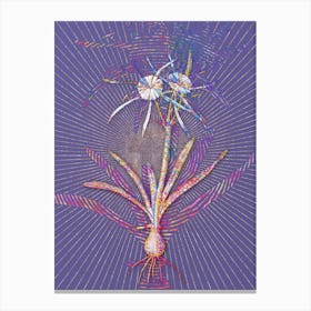 Geometric Streambank Spiderlily Mosaic Botanical Art on Veri Peri n.0295 Canvas Print