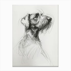German Wirehaired Pointer Dog Charcoal Line 2 Canvas Print
