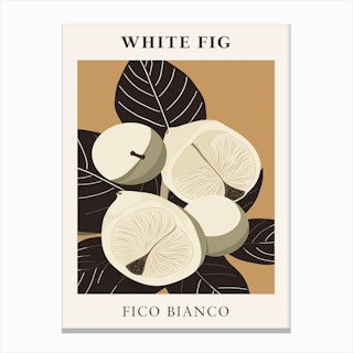 White Fig Canvas Print