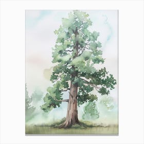 Sequoia Tree Atmospheric Watercolour Painting 8 Canvas Print