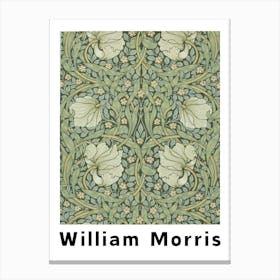 William Morris Floral Illustration Canvas Print