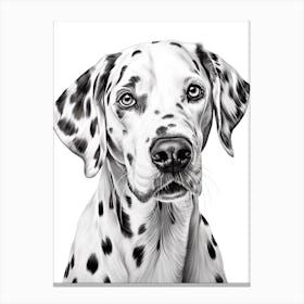 Dalmatian Dog, Line Drawing 3 Canvas Print