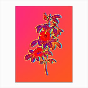 Neon Single May Rose Botanical in Hot Pink and Electric Blue n.0587 Canvas Print