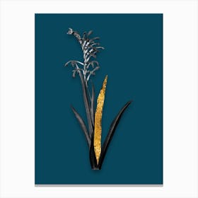 Vintage Antholyza Aethiopica Black and White Gold Leaf Floral Art on Teal Blue n.0971 Canvas Print