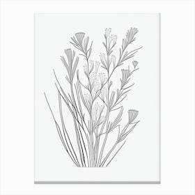 Ephedra Herb William Morris Inspired Line Drawing 3 Canvas Print