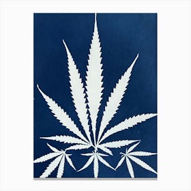 Blue Hemp Leaf cyanotype Canvas Print