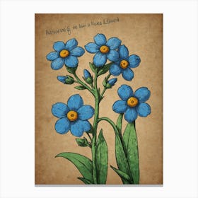 Forget Me Nots Canvas Print