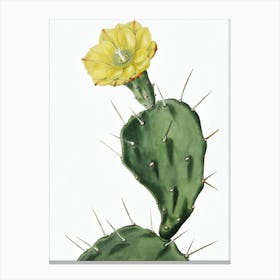 Cactus Flower 18 Canvas Print