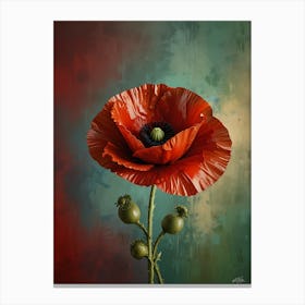 Poppy 1 Canvas Print