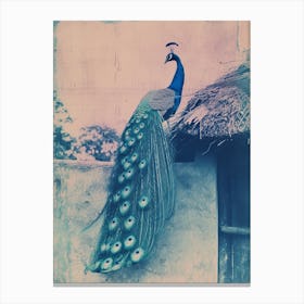 Vintage Photograph Of A Peacock On A Wall By A Barn Canvas Print