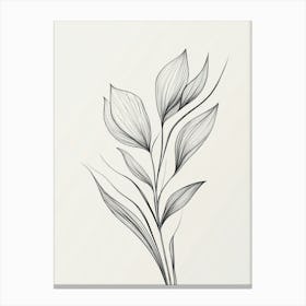 Lily Of The Valley 6 Canvas Print