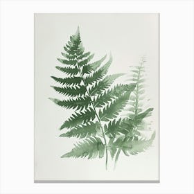 Green Ink Painting Of A Pteris Fern 1 Canvas Print