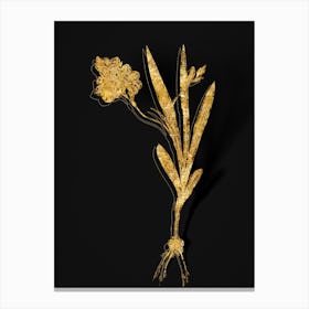 Vintage Ixia Miniata Botanical in Gold on Black n.0469 Canvas Print