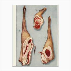 Ham Hocks Canvas Print