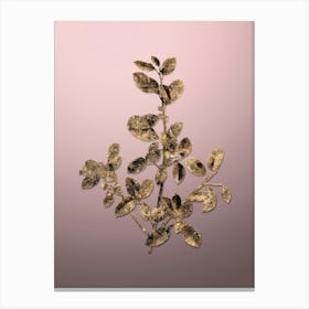 Gold Botanical Italian Buckthorn on Rose Quartz n.2880 Canvas Print
