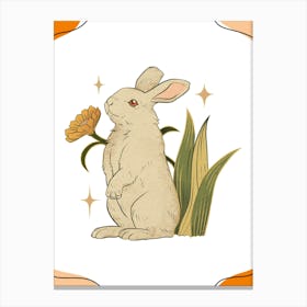 Rabbit With A Flower Canvas Print