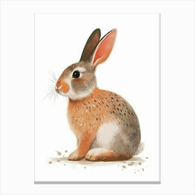 Rhinelander Rabbit Nursery Illustration 1 Canvas Print